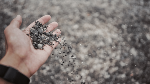 mineralidad del vino