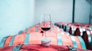 ¿Qué significa vino joven, crianza y reserva?