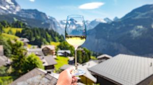 exportar vino español
